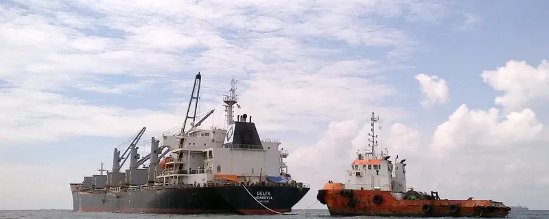 VIET THUAN OCEAN Bulk Carrier IMO 9330094