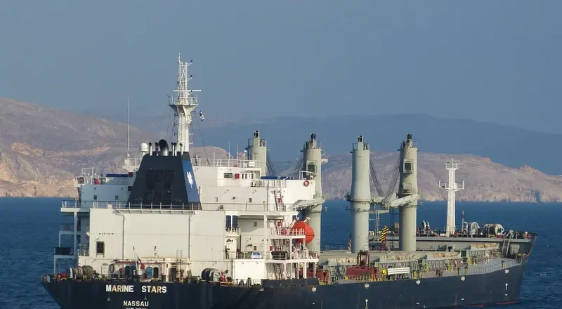 XIN YIN HUAN Bulk Carrier IMO 9330109
