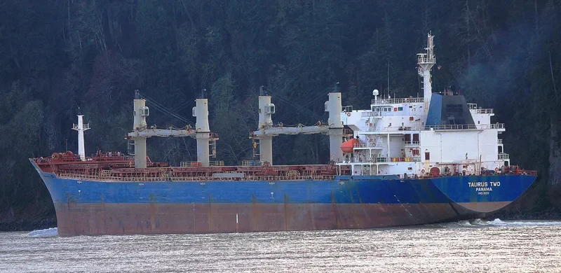 VAN AUSPICIOUS Bulk Carrier IMO 9330111