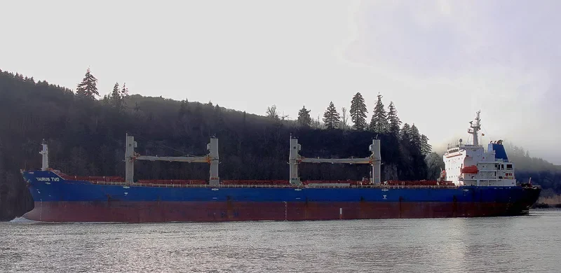 VAN AUSPICIOUS Bulk Carrier IMO 9330111 photo 2