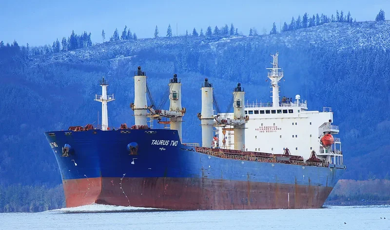 VAN AUSPICIOUS Bulk Carrier IMO 9330111 photo 4