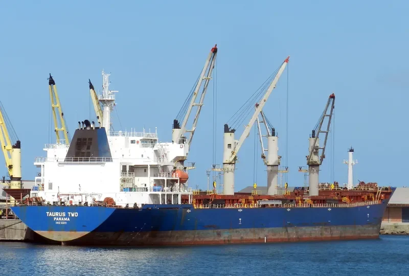 VAN AUSPICIOUS Bulk Carrier IMO 9330111 photo 8