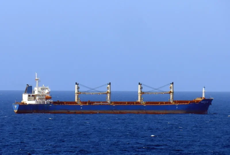 VAN AUSPICIOUS Bulk Carrier IMO 9330111 photo 9