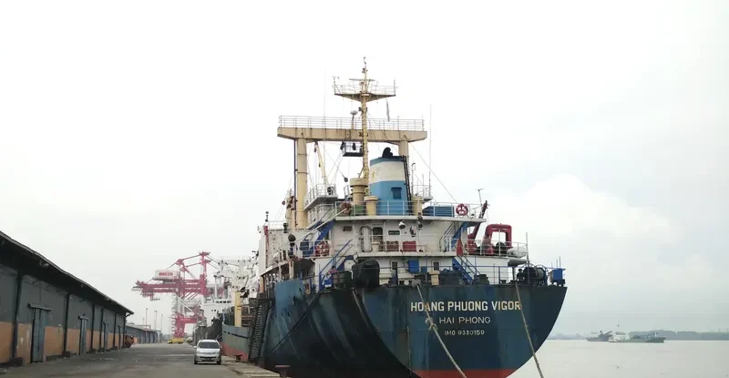 HOANG PHUONG VIGOR General Cargo IMO 9330159