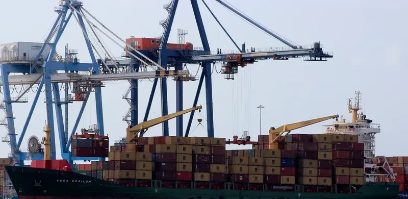 VEGA EPSILON Container Ship IMO 9330238 photo 2