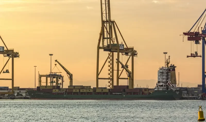 VEGA EPSILON Container Ship IMO 9330238 photo 4