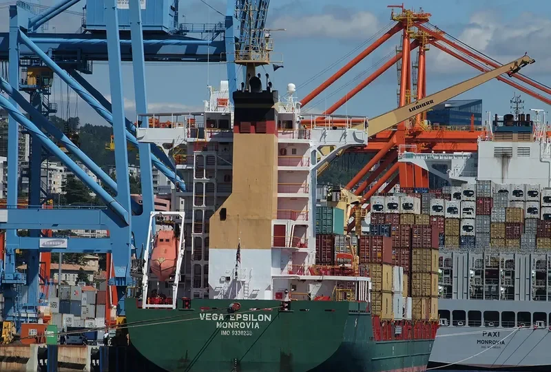VEGA EPSILON Container Ship IMO 9330238 photo 6