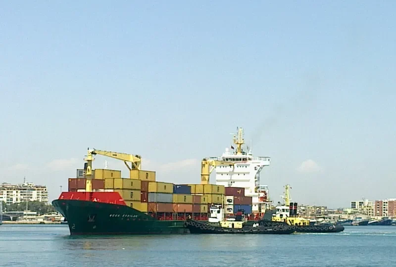 VEGA EPSILON Container Ship IMO 9330238 photo 7