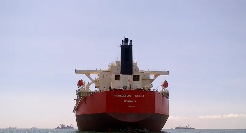 XYG FORTUNE Bulk Carrier IMO 9330290 photo 3