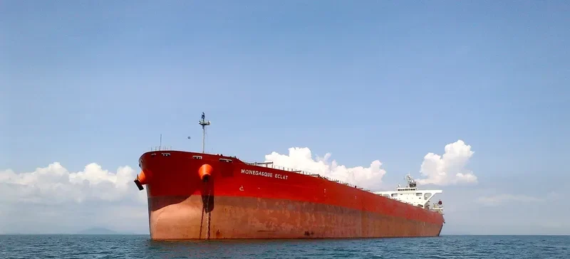 XYG FORTUNE Bulk Carrier IMO 9330290 photo 4