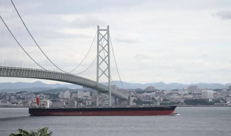 XYG FORTUNE Bulk Carrier IMO 9330290 photo 8