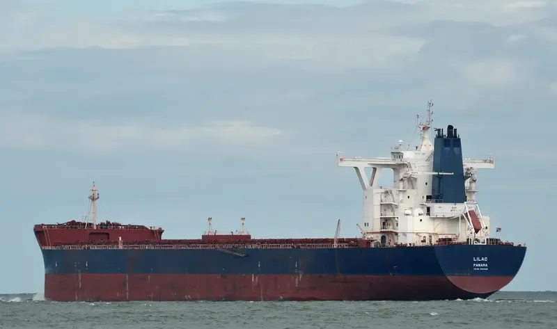 MOUNT CARMEL Bulk Carrier IMO 9330305 photo 2
