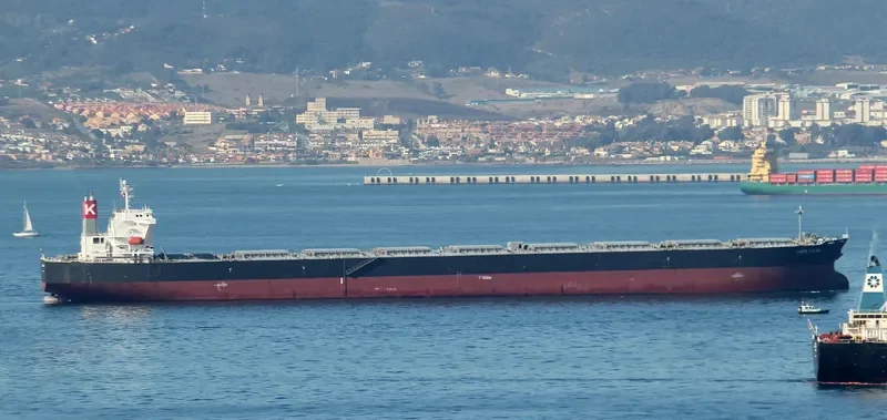 MOUNT CARMEL Bulk Carrier IMO 9330305 photo 3