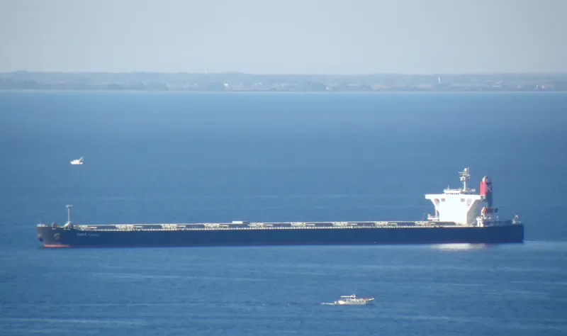 MOUNT CARMEL Bulk Carrier IMO 9330305 photo 4