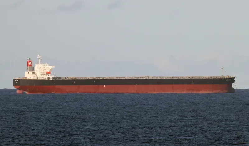 MOUNT CARMEL Bulk Carrier IMO 9330305 photo 5