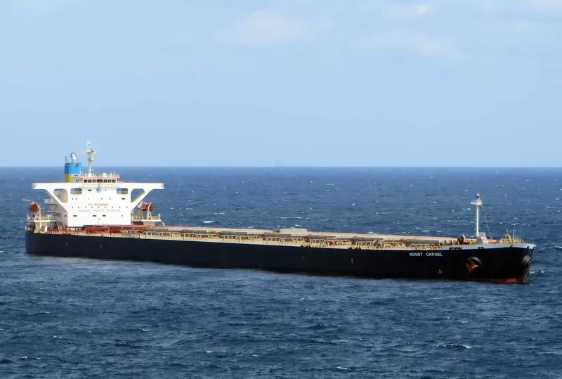 MOUNT CARMEL Bulk Carrier IMO 9330305 photo 6