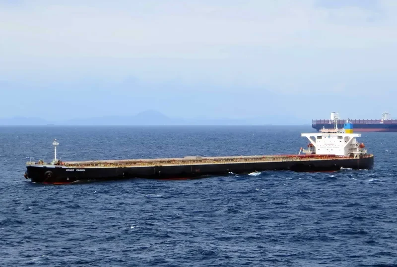 MOUNT CARMEL Bulk Carrier IMO 9330305 photo 8