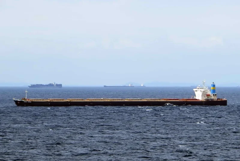 MOUNT CARMEL Bulk Carrier IMO 9330305 photo 9