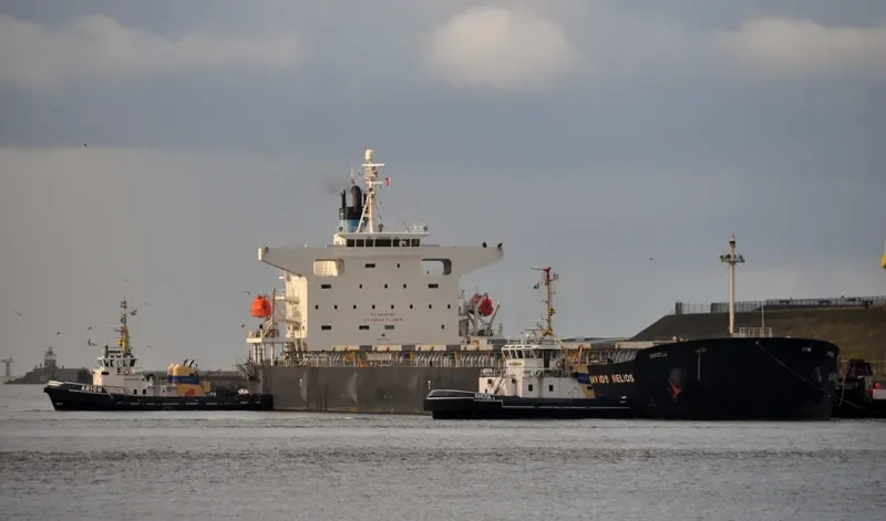 NAVIOS HELIOS Bulk Carrier IMO 9330317 photo 4