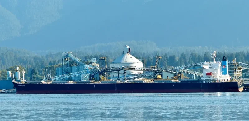 NAVIOS HELIOS Bulk Carrier IMO 9330317 photo 5