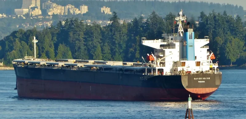 NAVIOS HELIOS Bulk Carrier IMO 9330317 photo 7