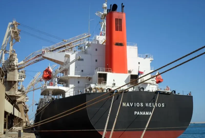 NAVIOS HELIOS Bulk Carrier IMO 9330317 photo 8