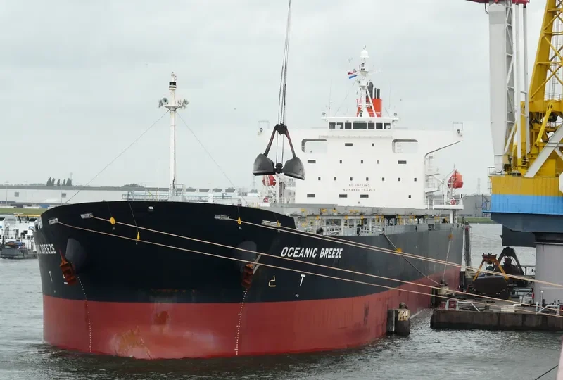 NAVIOS HELIOS Bulk Carrier IMO 9330317 photo 10