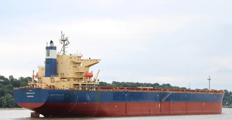 OMICRON SKY Bulk Carrier IMO 9330329 photo 4
