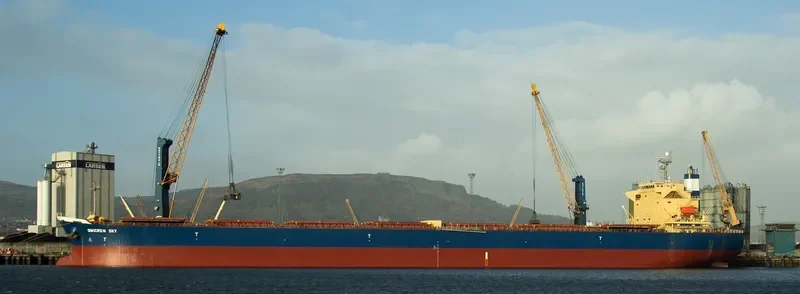 OMICRON SKY Bulk Carrier IMO 9330329 photo 9