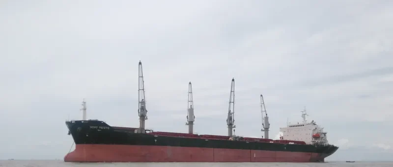 MANALAGI TARA Bulk Carrier IMO 9330422 photo 2