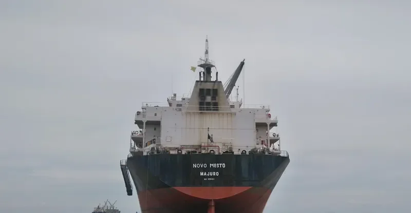MANALAGI TARA Bulk Carrier IMO 9330422 photo 3