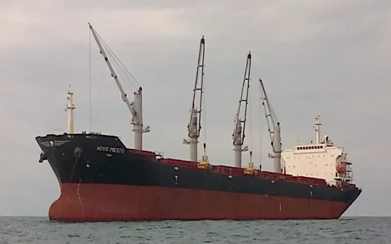 MANALAGI TARA Bulk Carrier IMO 9330422 photo 4
