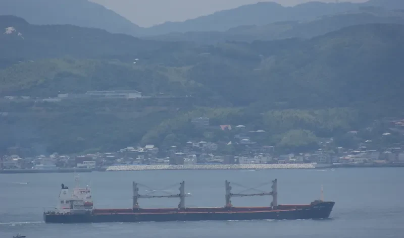 MANALAGI TARA Bulk Carrier IMO 9330422 photo 5