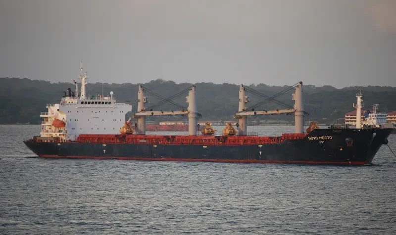 MANALAGI TARA Bulk Carrier IMO 9330422 photo 6