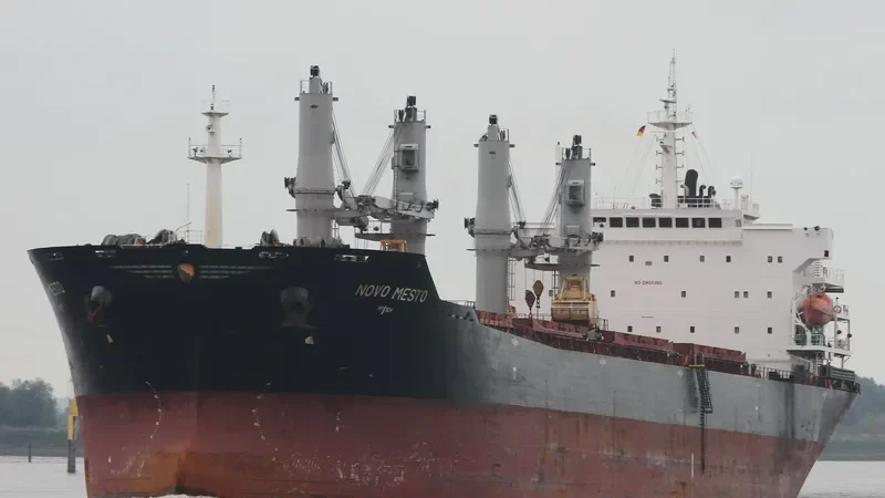 MANALAGI TARA Bulk Carrier IMO 9330422 photo 7
