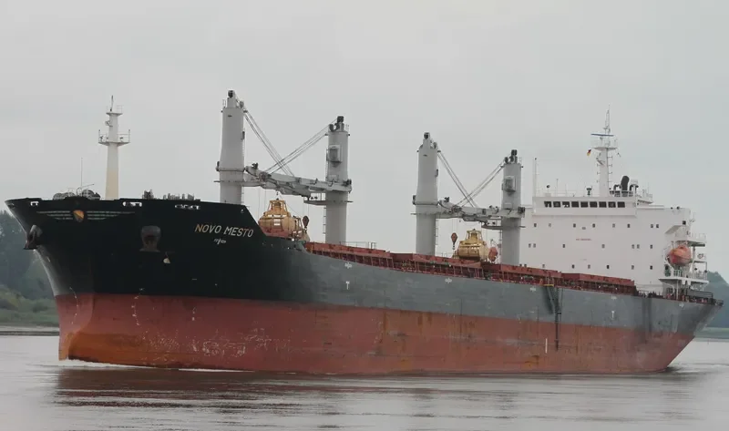 MANALAGI TARA Bulk Carrier IMO 9330422 photo 8