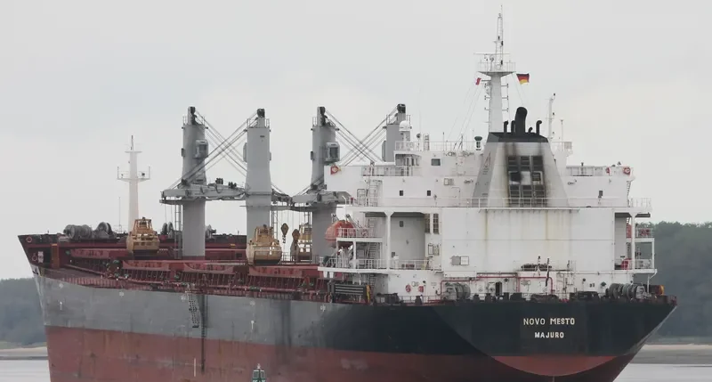 MANALAGI TARA Bulk Carrier IMO 9330422 photo 9