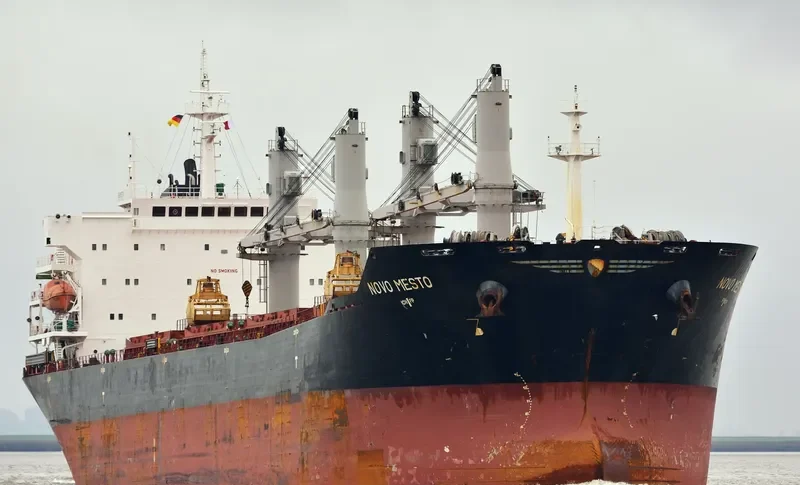 MANALAGI TARA Bulk Carrier IMO 9330422 photo 10
