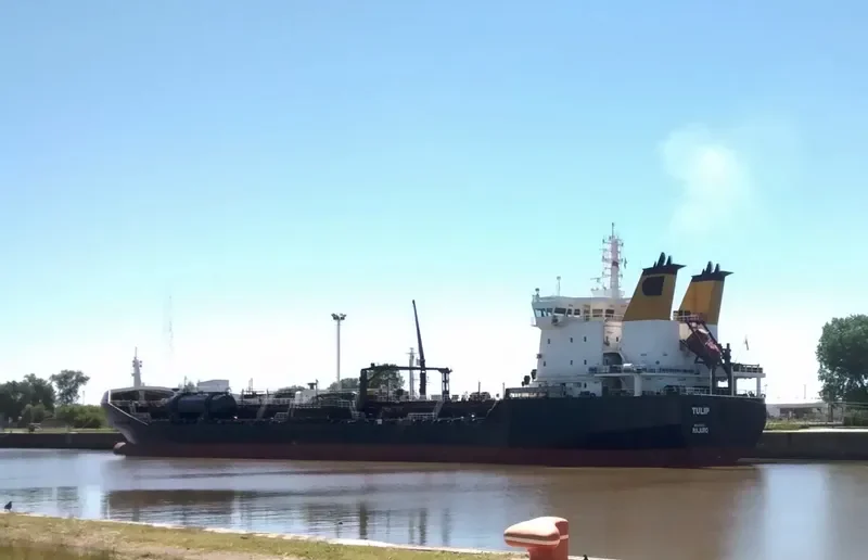 TULIP Tanker IMO 9330434 photo 6