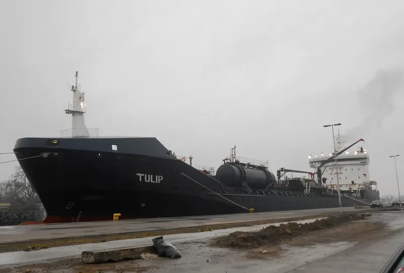 TULIP Tanker IMO 9330434 photo 8