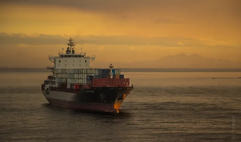 GSL LALO Container Ship IMO 9330525
