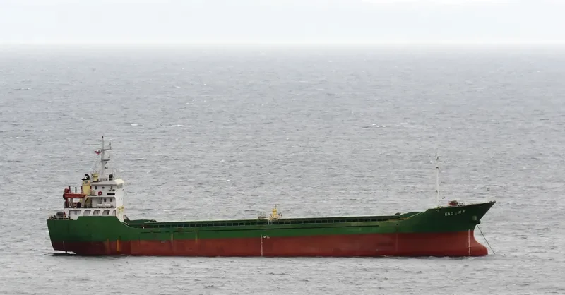 GAO XIN 8 General Cargo IMO 9330551 photo 7