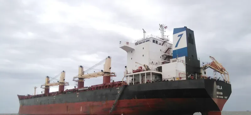 VELA Bulk Carrier IMO 9330628