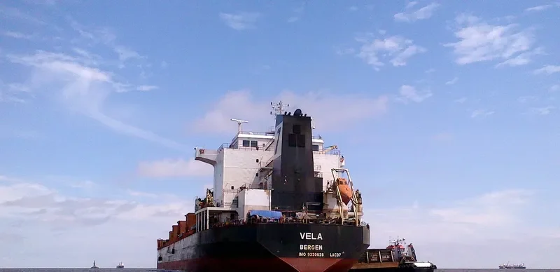 VELA Bulk Carrier IMO 9330628 photo 4