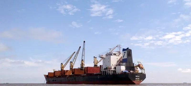 VELA Bulk Carrier IMO 9330628 photo 5
