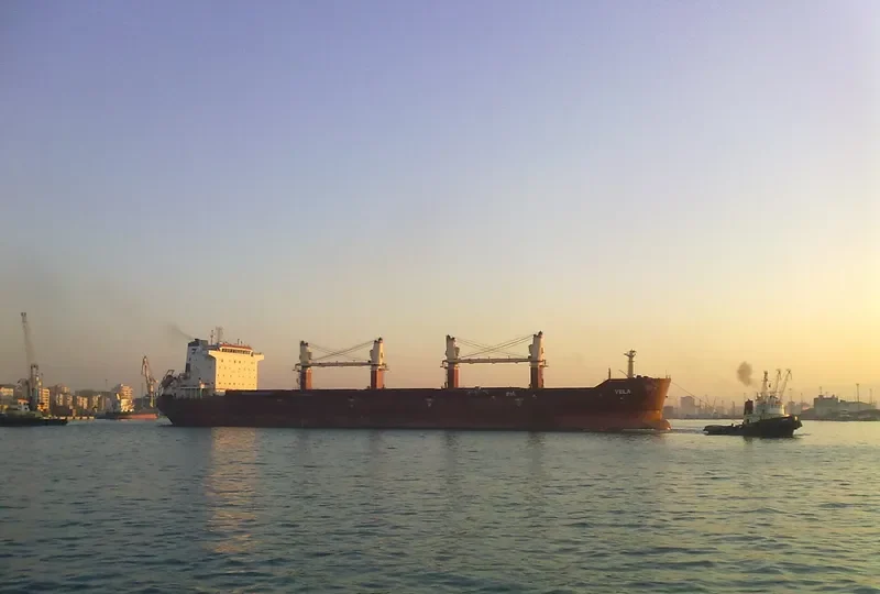 VELA Bulk Carrier IMO 9330628 photo 10