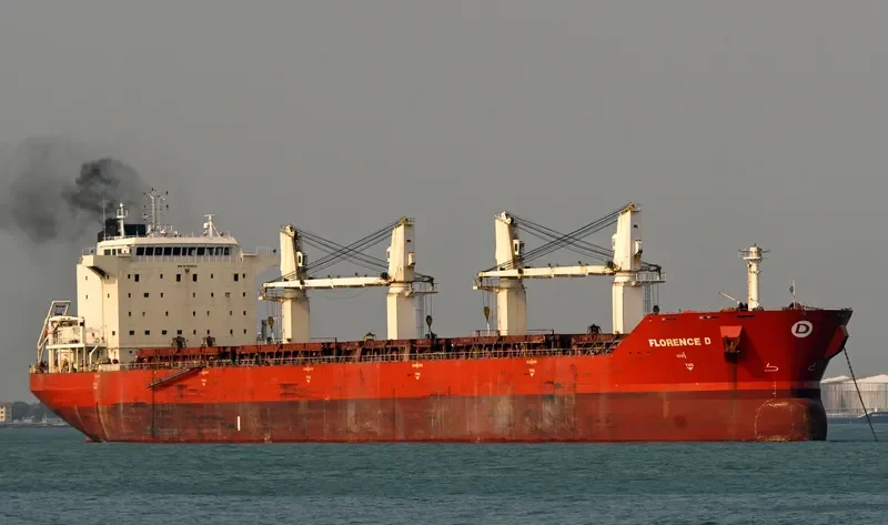 ARCHAGELOS MICHAEL Bulk Carrier IMO 9330630 photo 2