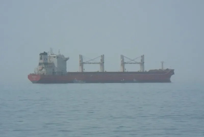 ARCHAGELOS MICHAEL Bulk Carrier IMO 9330630 photo 3