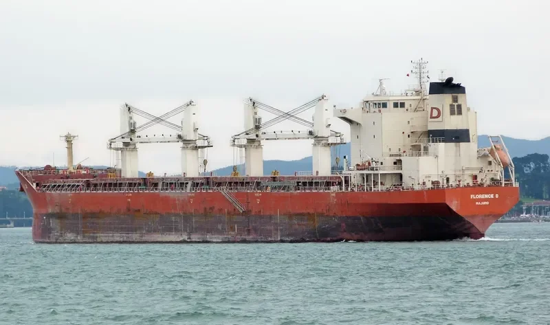 ARCHAGELOS MICHAEL Bulk Carrier IMO 9330630 photo 4