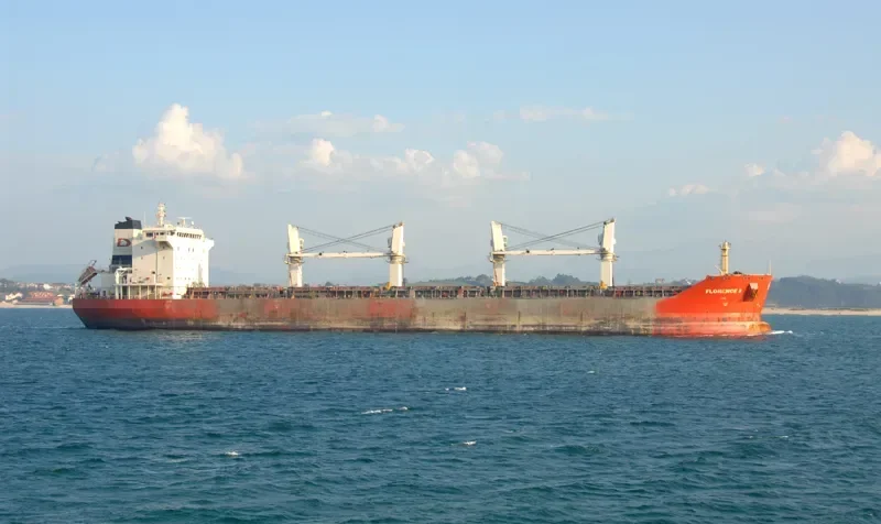 ARCHAGELOS MICHAEL Bulk Carrier IMO 9330630 photo 6